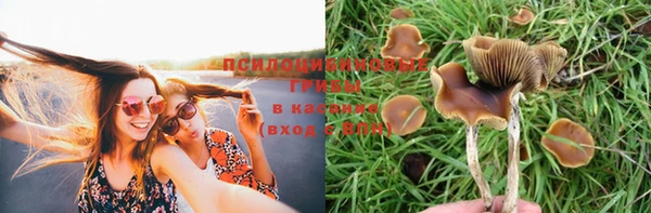 кокс Волоколамск