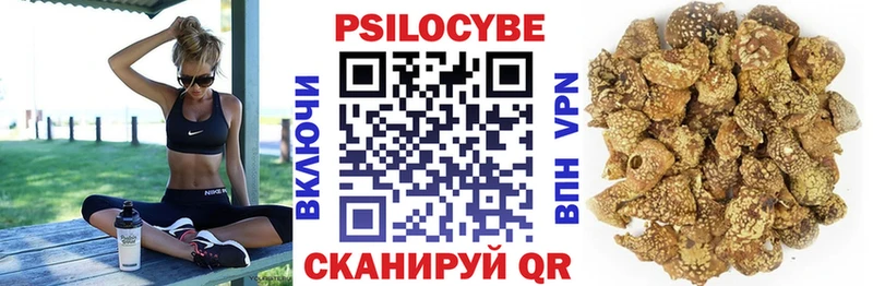 Купить закладки  Карабаново  Псилоцибиновые грибы Psilocybine cubensis 